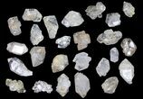 Flat: Clear Quartz Crystals (Morocco) - Pieces #82338-2